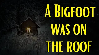 A Bigfoot Was On  The Roof - What Else Could It Be?