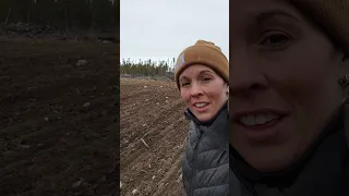 "ROCKIN"with the Rhythm on the Fields #offgrid #offgridlife #newfoundland #farming #farmlife