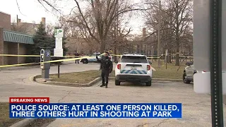 Woman killed, 3 others seriously injured in shooting at Chicago park, police source says