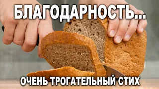 ОЧЕНЬ МУДРО СКАЗАНО! Стих до слез! "БЛАГОДАРНОЕ СЕРДЦЕ"