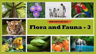 Lilquizwhiz | Flora and Fauna Quiz-3|Fun Quiz | Quiz for kids | Olympiads & Competitive Exams