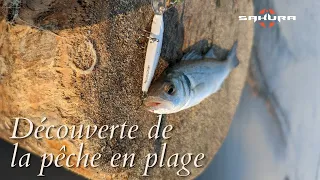 Pêche au leurre méditerranée - Loup et tassergal en plage