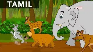 Rabbits Dream | முயலின் கனவு | Jataka Tales In Tamil | MagicBox Tamil Stories