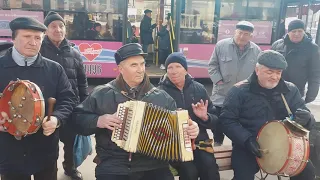 Гармонисты Кременчуга 163  Поличка КЛАСС.