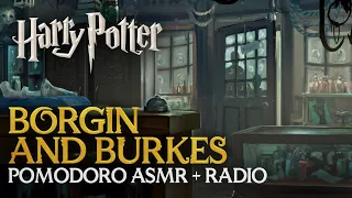 Study Session + Radio Story 📻🕯️BORGIN AND BURKES - Harry Potter Pomodoro Hogwarts ASMR Sounds