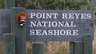 Ocean Acidification at Point Reyes National Seashore