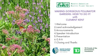 Making Gorgeous Pollinator Gardens Webinar