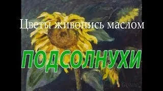 ПОДСОЛНУХИ - цветы живопись маслом. Поляна цветов подсолнухов.