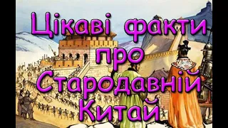 Цікаві факти про Стародавній Китай. Пекінеси -  пекінські собаки. Велика китайська стіна.