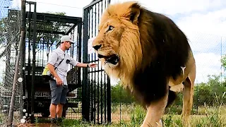 Join Kevin Richardson's Lion PRIDE | The Lion Whisperer