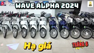 Wave Alpha 110 2024 “FULL COLOR” ▶️ Wave Alpha HẠ GIÁ tháng 6/2024 🔴 TOP 5 ĐAM MÊ