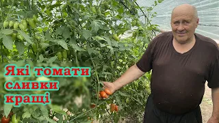 Які томати сливки кращі