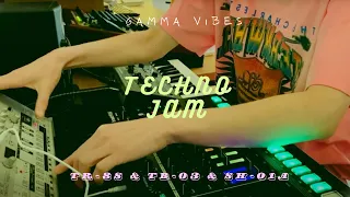 Gamma Vibes - Sunday Morning Techno Jam with Roland TR-8S, SH-01A & TB-03