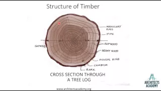 Structure of timber