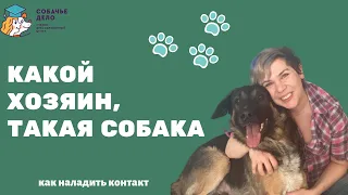 Какой хозяин - такая и собака!