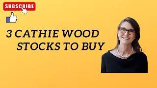 My Top 3 Cathie Wood Stocks to Buy Now!!