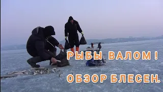 Зимняя рыбалка в Приморском крае. На что ловить навагу зимой в Приморье.Блесна на навагу