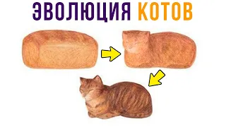КОТЫ ЭТО ХЛЕП!))) Приколы с котами | Мемозг #505