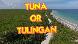 Dahil sa volcan eruption ba to or maraming isda lng tlga sa Romblon