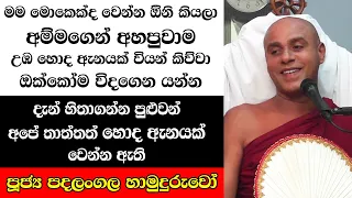 අම්මගෙන් මම අහපුවාම මොකෙක්ද වෙන්න ඕනි කියලා උඔ හොද ඇනයක් වියන් කිව්වා. තාත්ත වගේ හොදට විදගෙන යන්න