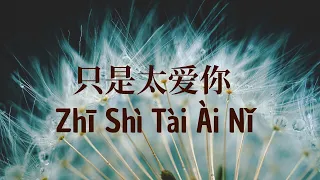 Zhi Shi Tai Ai Ni 只是太爱你 – 张敬轩  (Hins Cheung) Cover by : Danny 許佳麟【动态歌词 Pinyin Lyrics】