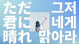 달이 터지고, 밤이 피어나🌹: 요루시카 - 그저 네게 맑아라(ただ君に晴れ) [가사/발음/한글 자막/해석]