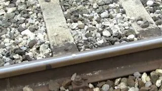 Euro gets run over by Train in Italy