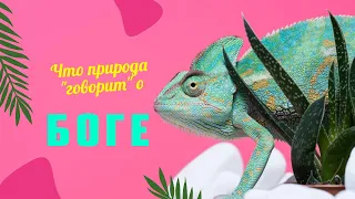 Что природа "говорит" о Боге?