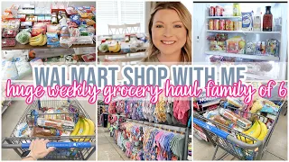 HUGE WEEKLY GROCERY HAUL + WALMART SHOP WITH ME | GROCERY SHOP WITH ME + WHAT'S NEW AT WALMART