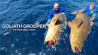 Fishing for Goliath Grouper Off the Florida Coast | Saltwater Fishing | Guided Fishing Trip