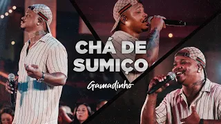 Gamadinho à Vontade - Chá de Sumiço