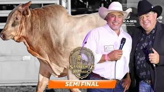 Rodeio de SANTA CRUZ DO RIO PARDO 2024 (SEMI FINAL / MELHORES MOMENTOS)