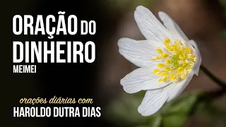 ORAÇÃO DO DINHEIRO - Haroldo Dutra Dias - MEIMEI - Chico Xavier - ORAÇÕES DIÁRIAS