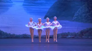 2019 N&D Ballet Annual Gala "Four Little Swans"