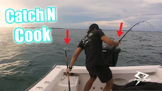 What I catch in 30 minutes SOLO Patch Reef Fishing | catch and cook