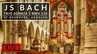 🎵 JS Bach - Trio Sonata No 1 in E flat BWV 525 | St Bavokerk Haarlem