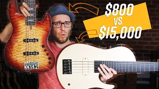 $15,000 Fodera Vs $800 Sire (and… I’m giving them away)