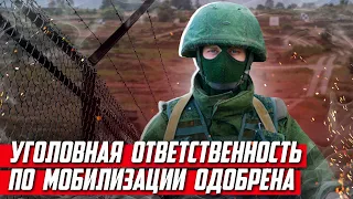 Правительство заочно приняло уголовную ответственность за уклонение от мобилизации