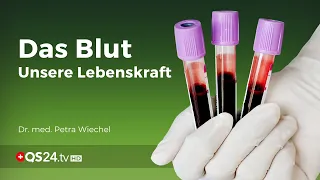 Das Blut – unsere Lebenskraft | Dr. med. Petra Wiechel | NaturMEDIZIN | QS24 Gesundheitsfernsehen