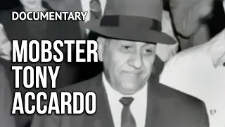 TONY ACCARDO ★ Documentary