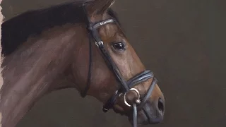 Oil Painting Demo - Horse Head painted alla prima