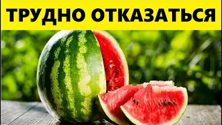 Если у Вас Есть Эти Болезни, То Вам Нельзя Кушать Арбуз...