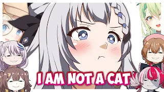 Six minutes of Hololive Members trying to convince Zeta that she is a CAT...