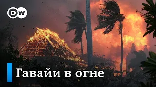 Райские острова и адское пламя: Гавайи во власти самых мощных лесных пожаров в истории