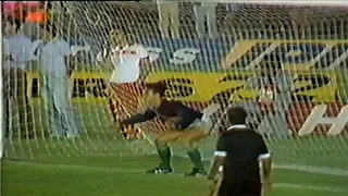 O DIA QUE GAÚCHO MITOU NO GOL - Flamengo vs Palmeiras (1988)