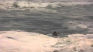 December 7th, 2009, 3 surfers attempt paddle out at Waimea with varying levels of success