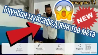 Прикол муйсафед ячи мечунбона 2020