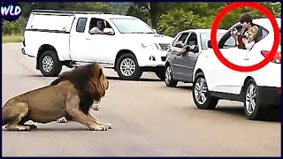 12 Worst Safari Accidents Caught On Camera