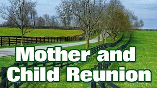 Mother and Child Reunion (lyric song with Lyrics by Paul Simon)