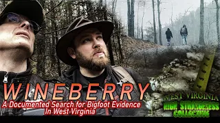 Did We Find Evidence of  Bigfoot in West Virginia ?